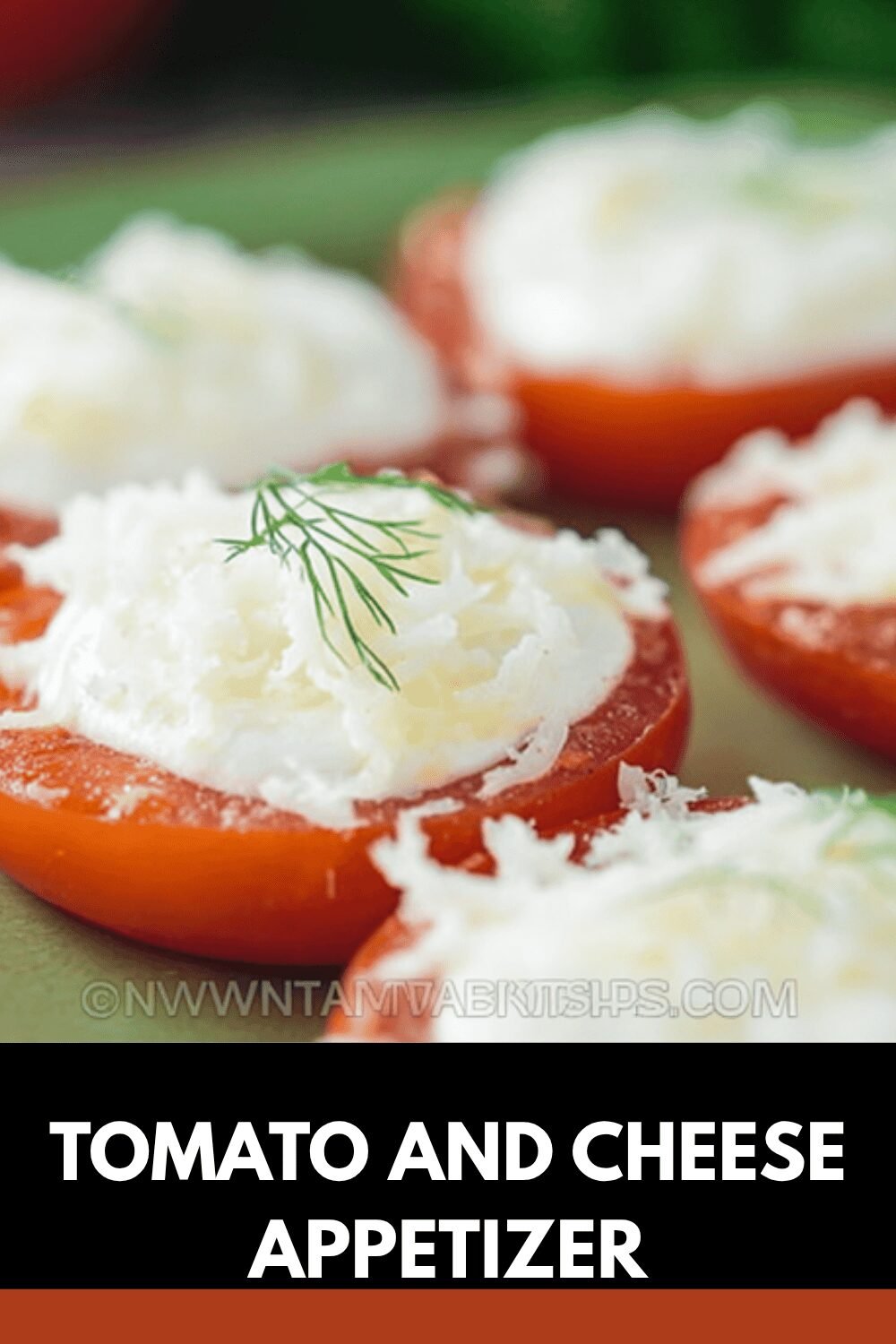 Caprese Appetizer With Fresh Mozzarella And Juicy Tomatoes Recipe 7 Tomato And Cheese Appetizer