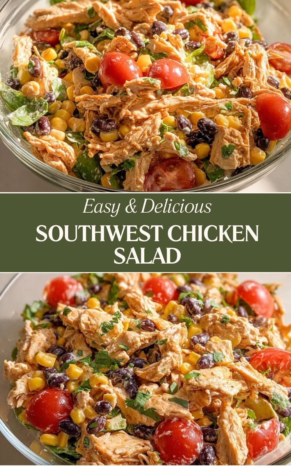 Southwestern Chicken Salad With Fresh Veggies And Zesty Dressing 7 Southwest Chicken Salad