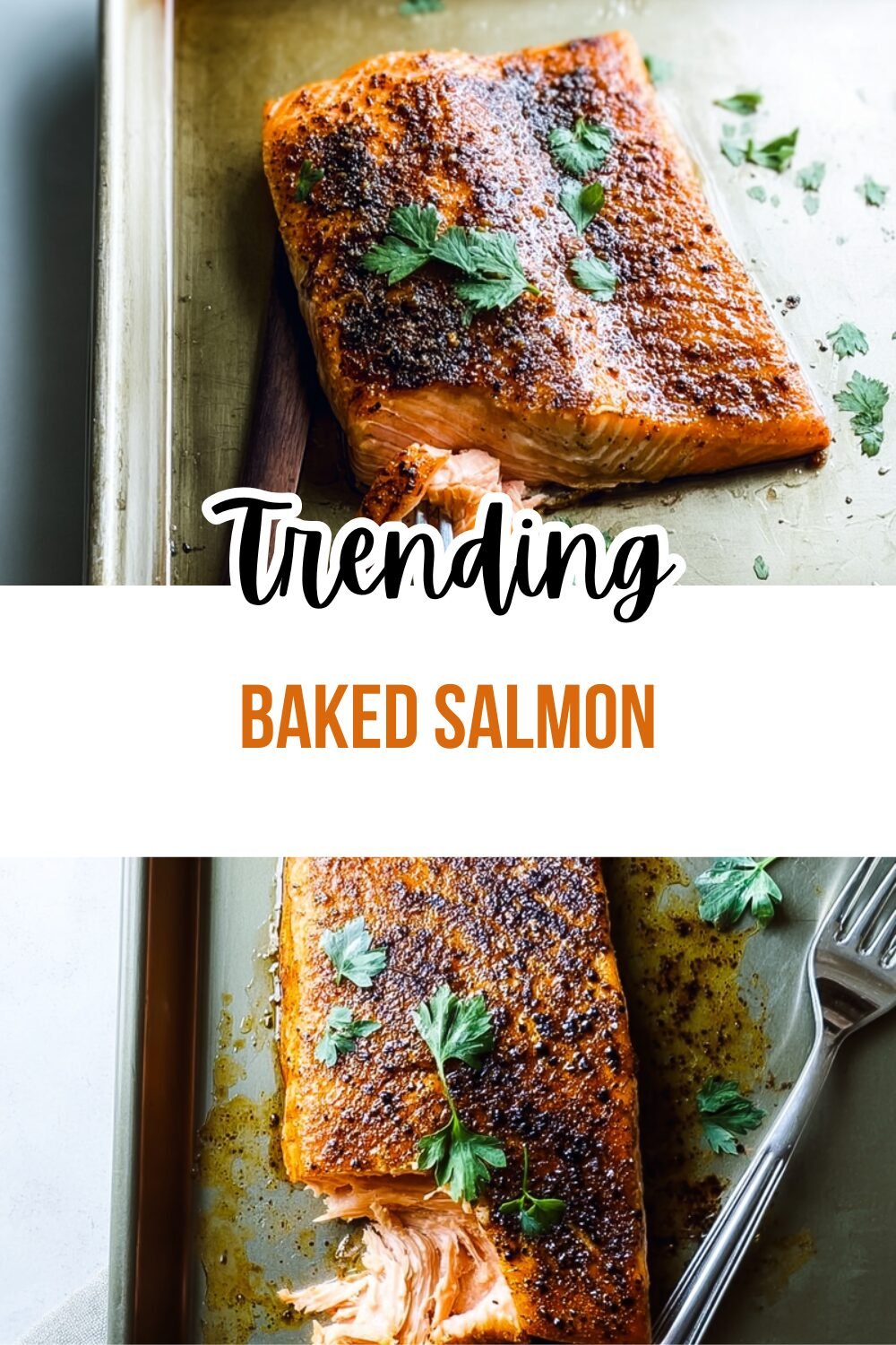 Best Easy Healthy Baked Salmon Recipes For Quick Nutritious Meals 7 Baked Salmon