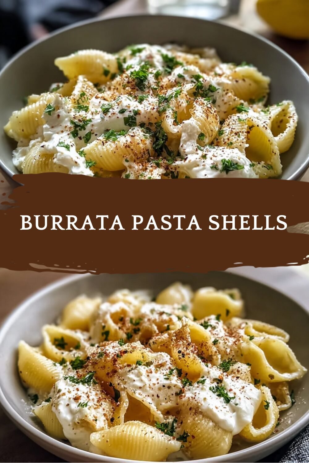 Creamy Tomato Burrata Shells Recipe With Fresh Herbs And Garlic 7 Burrata Pasta Shells