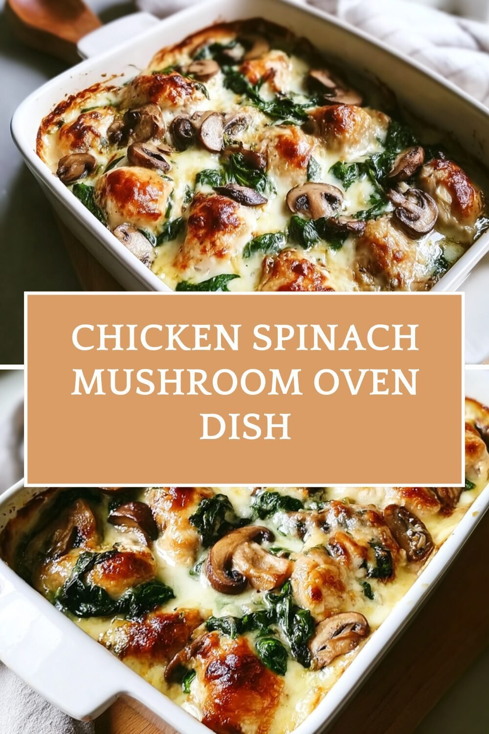 Chicken Spinach And Mushroom Recipes For Quick And Healthy Meals 7 Chicken Spinach Mushroom Oven Dish