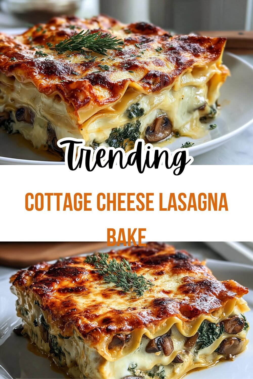 Cottage Cheese Lasagna Easy Recipe With Simple Steps For Delicious Meal 7 Cottage Cheese Lasagna Bake