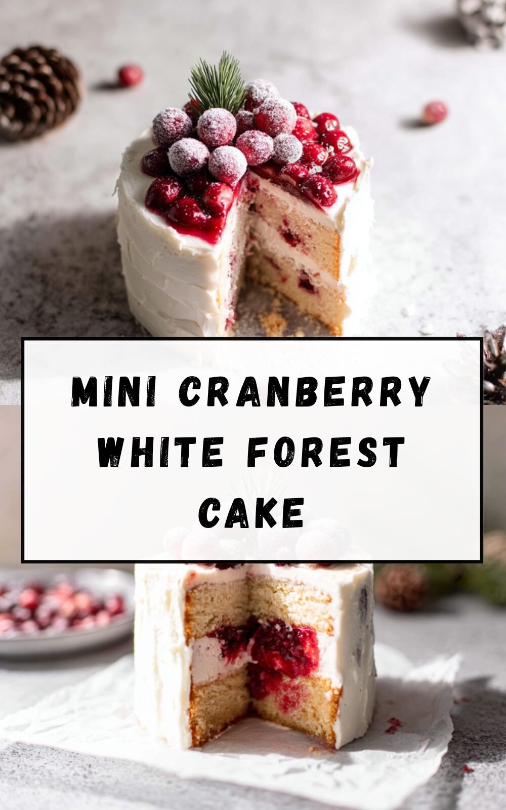 White Chocolate Cranberry Bundt Cake Recipe With Moist Texture And Tangy Flavor 4 Mini Cranberry White Forest Cake
