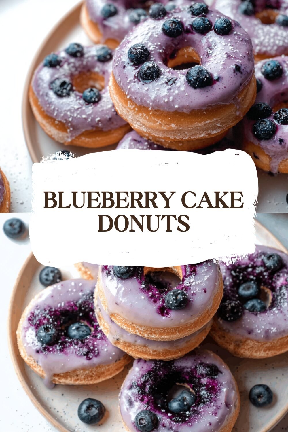 Blueberry Cake Donuts
