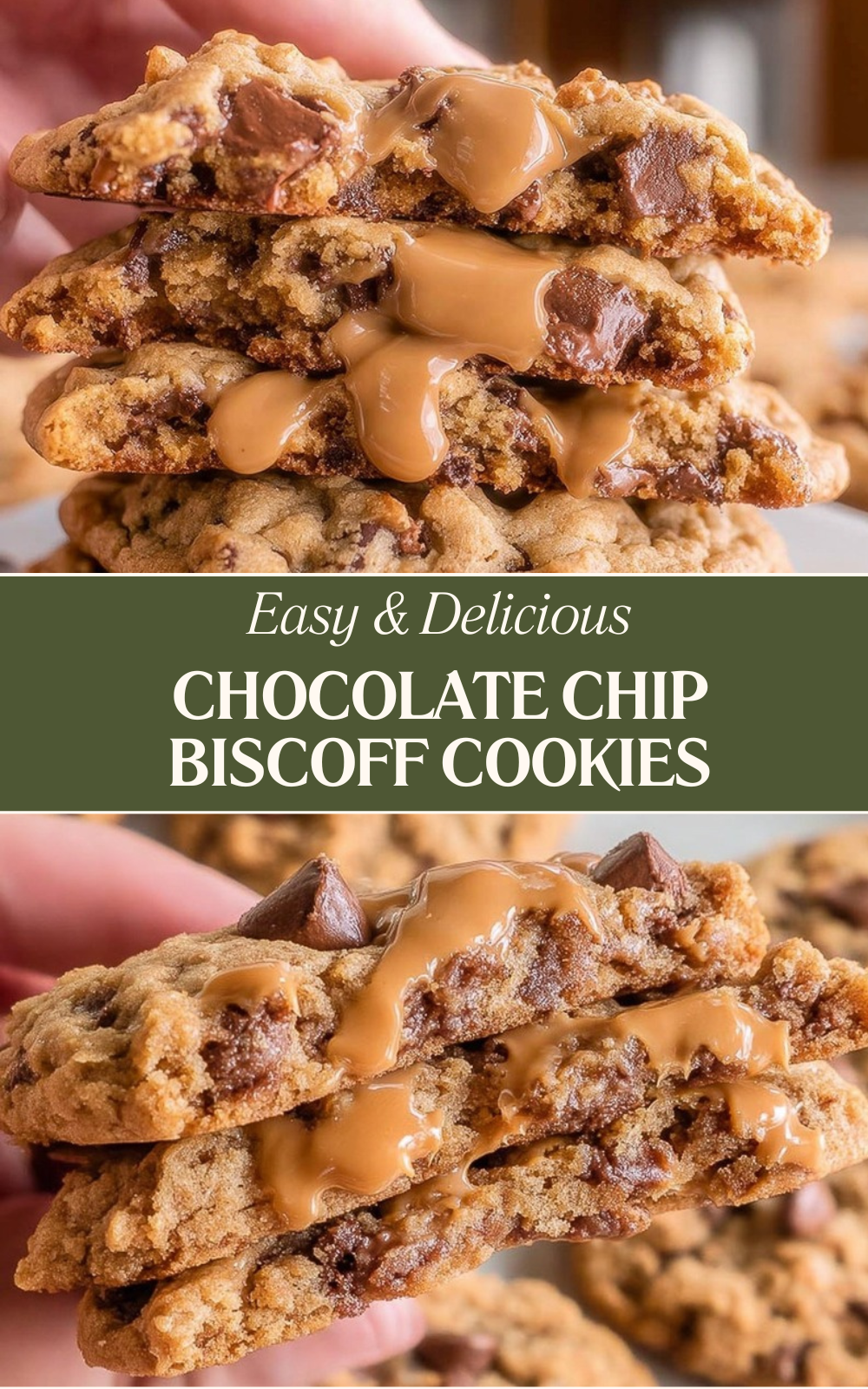 Biscoff Chocolate Chip Cookies Recipe 4 Chocolate Chip Biscoff Cookies