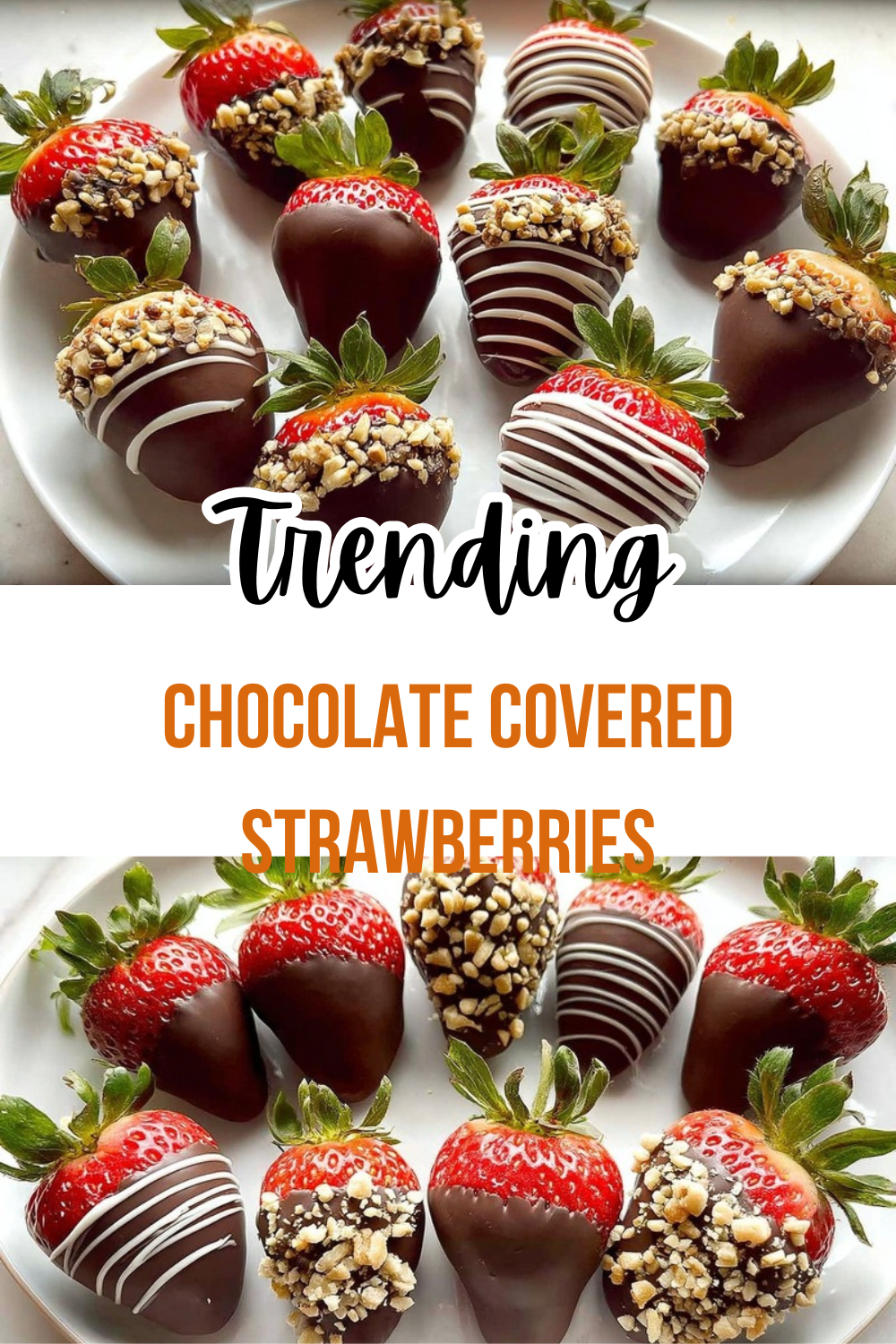 Chocolate Covered Strawberries