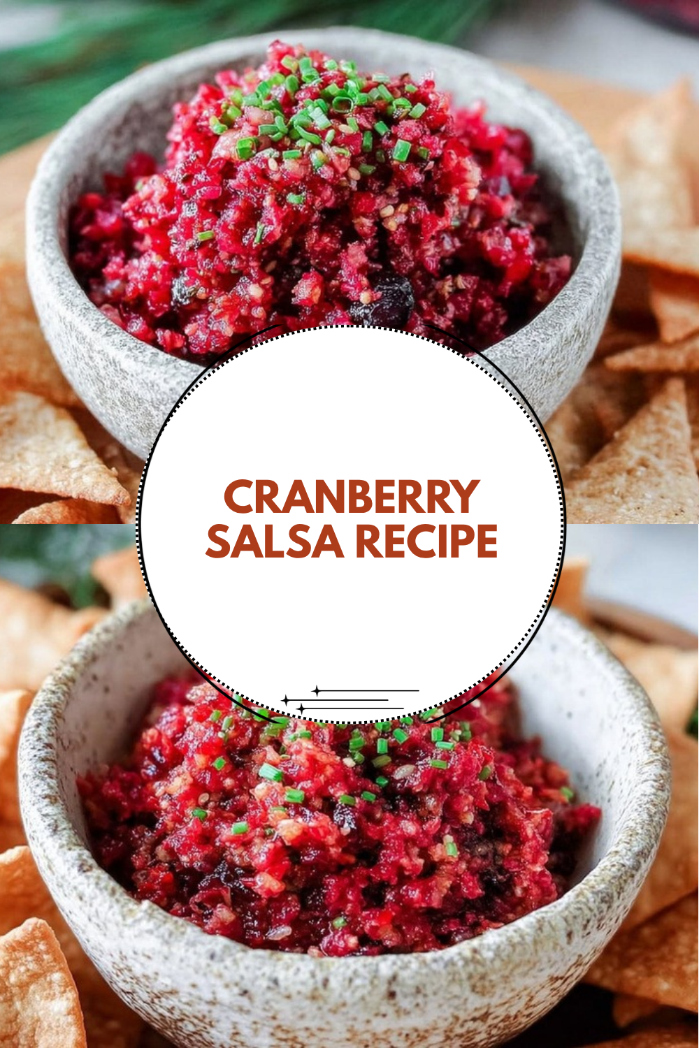 Fresh Cranberry Salsa Recipe 7 Cranberry Salsa Recipe