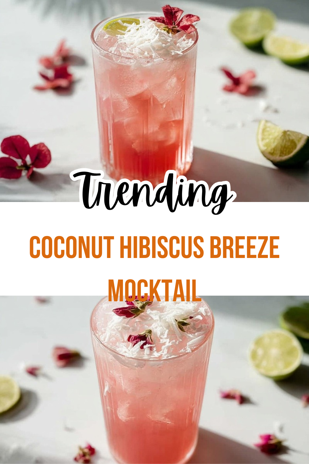 Coconut Hibiscus Breeze Mocktail