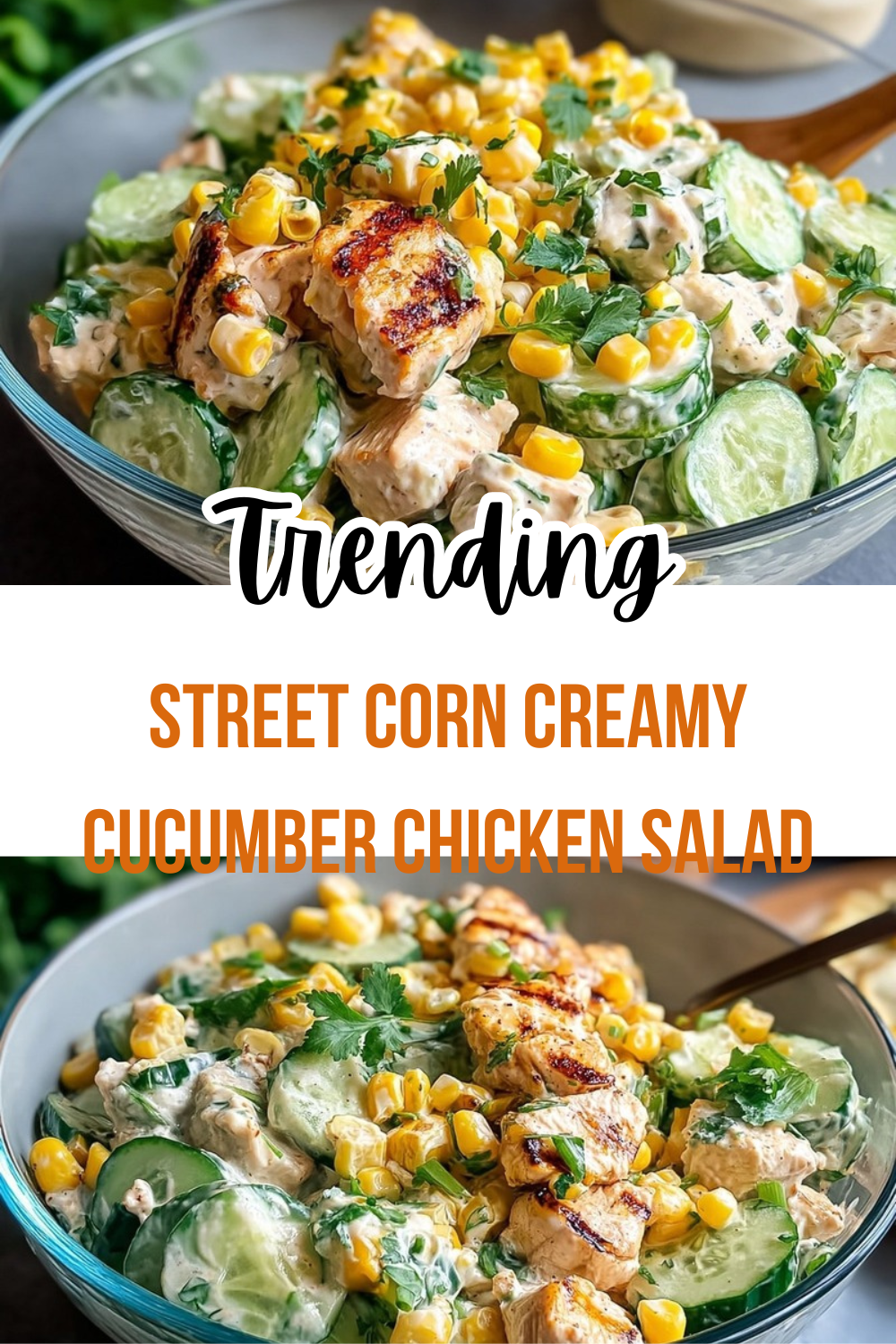Street Corn Creamy Cucumber Chicken Salad